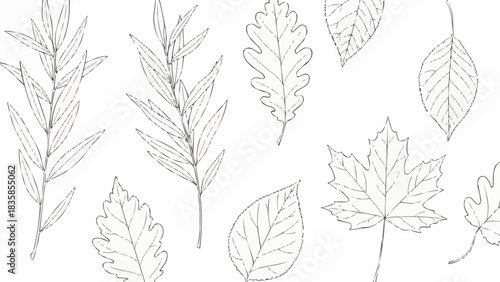 Detailed monochrome illustration of various leaves and branches.