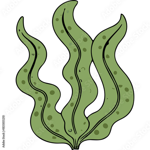 Stylized illustration of green seaweed with brown speckles against a black background featuring flowing fronds and organic texture representing marine plant life