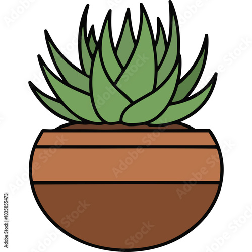 Stylized Succulent Plant in a Terracotta Pot with Green Leaves and Brown Stripes on a Black Background Simple Flat Design Illustration