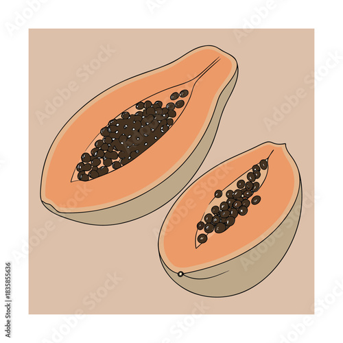 Illustration of two halves of a ripe papaya fruit showing the orange flesh and black seeds against a neutral beige background, perfect for healthy eating concepts