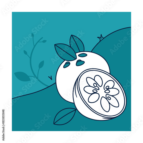 Minimalist graphic illustration of a whole and a halved citrus fruit, possibly a lime or orange, in white outline against a teal background with subtle leaf silhouette accents