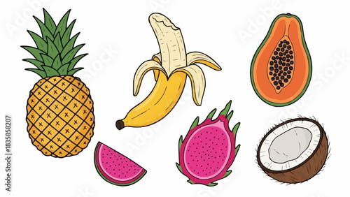 Colorful tropical fruits assortment pineapple banana papaya dragon fruit coconut.