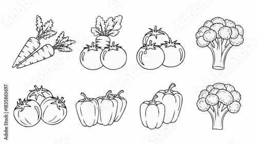 Hand drawn collection of fresh organic farm vegetables sketch.