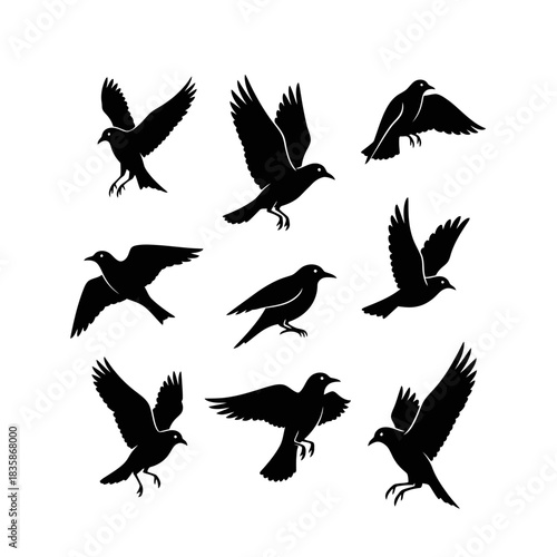 Dynamic silhouettes of soaring birds, capturing freedom and movement, perfect for design projects needing elegant, minimalist imagery