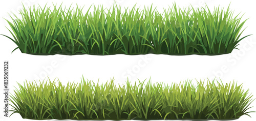 Grass texture sketch, cad drawing, flat vector illustration, healthy lawn, seasonal variation, foliage detail, landscaping element, garden design