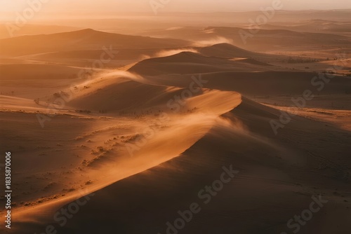 Fototapeta Naklejka Na Ścianę i Meble -  Aerial view of sand dunes in a desert at sunset with warm golden lighting and wind-blown sand