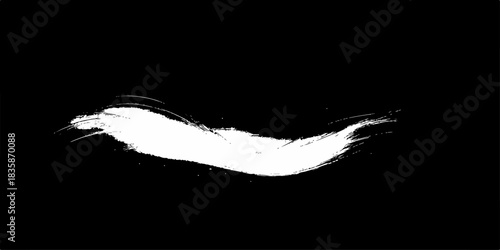 Black ink splash vector silhouette bird illustration with a grunge border frame design