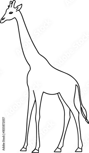 Single-line outline of a standing giraffe with an elongated neck, using gentle curves and wide negative space 1