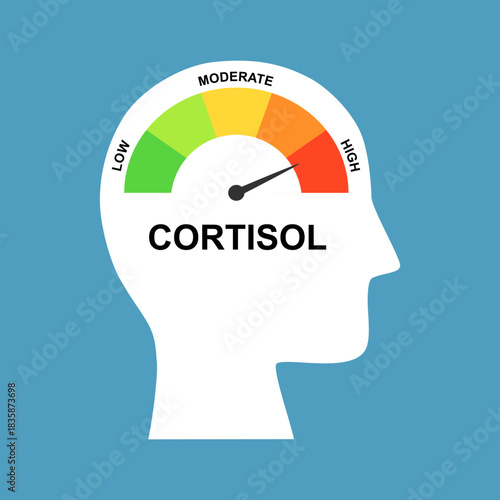 Cortisol level meter on a person head profile view. Stress scale meter test from low level tension to moderate and high tension
