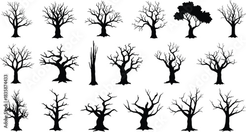 Dead tree silhouette collection, dry forest landscape, spooky nature design, leafless woodland illustration, black tree shapes, CAD drawing flat vector illustration