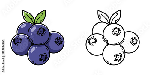 シンプルなブルーベリーのアイコンイラスト