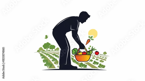 Silhouette of Farmer Harvesting Vegetables in Field.