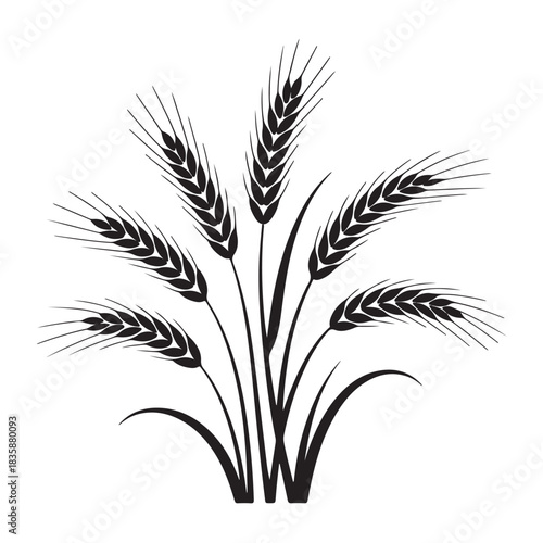 Illustration of wheat ears isolated on white background, symbolizing harvest, agriculture, and the beauty of natures bounty