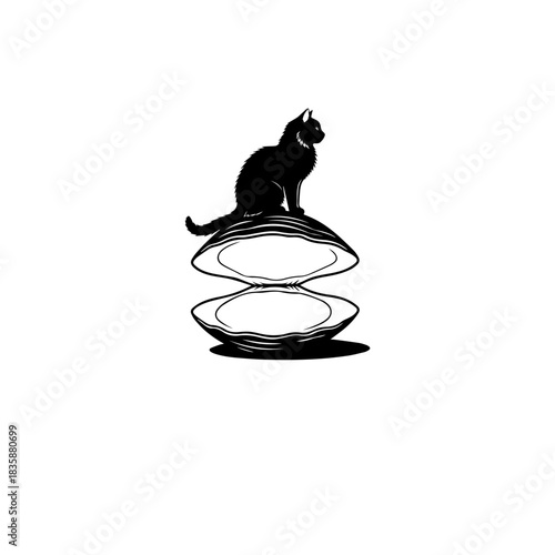 Cat on Clam Shells