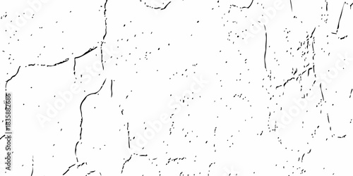 Minimal white cracked wall texture with fine lines, subtle grain, and natural aging details. High-resolution grunge background ideal for design, overlays, and creative surface effects.