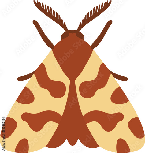 Spotted tan and brown moth