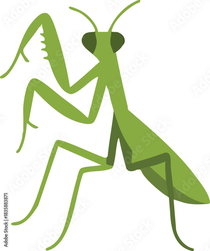 Green praying mantis portrait