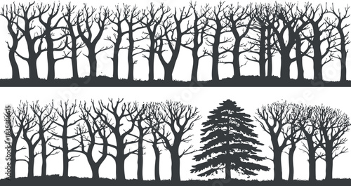 Black And White Silhouettes Of Forest Trees And Pine Tree