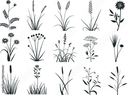 Illustrative Line Art Diverse Flora and Botanical Elements in Monochrome