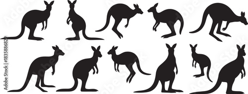 A collection of black kangaroo silhouette illustrations in various poses