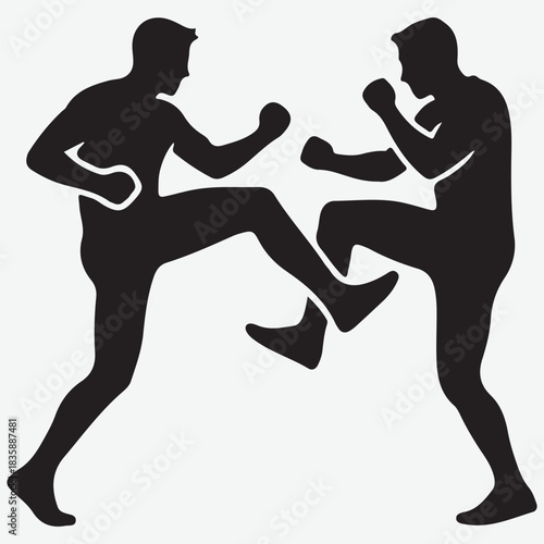 Silhouette of two men engaged in a martial arts fight, kicking and punching