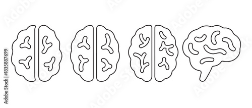 Stylized Brain Icon Evolution. Split and Unified Designs for Neuroscience and Cognitive Concepts.