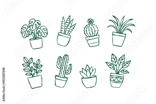 Set of house plants composition. vector line art Home and office interior houseplants. hand drawn Modern leaf, succulent, cactus decoration in planters, flowerpots design