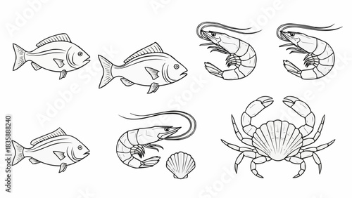 Detailed seafood illustration featuring fish shrimp crab and shell.