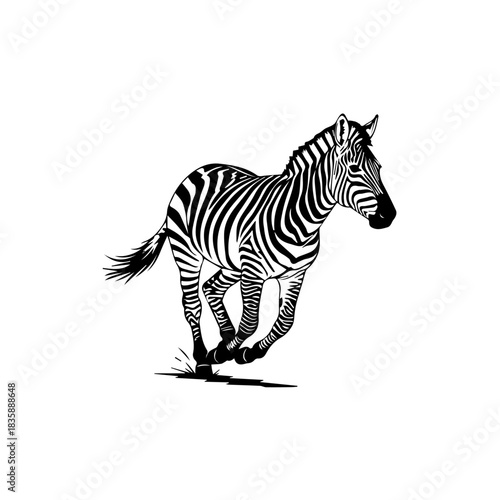 Running Zebra Illustration Striking Black and White Design for Wildlife Enthusiasts