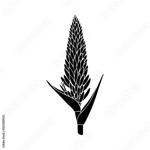 Elegant Black and White Illustration of a Flowering Plant with Leafy Stem