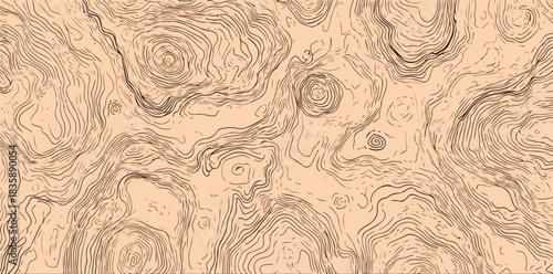 ベージュの背景に描かれた複雑な等高線パターンの抽象的なベクター背景テクスチャデザイン
