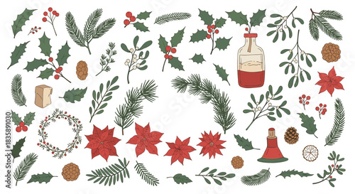 Collection of hand-drawn winter botanical elements for Christmas, including holly, mistletoe, pine branches, and poinsettia flowers.