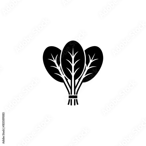 Illustration of a bunch of spinach on transparent background silhouette