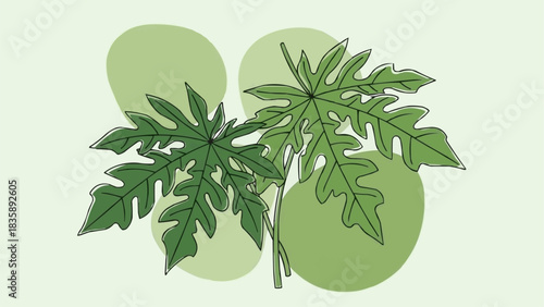 Green Papaya Leaves with Abstract Shapes.