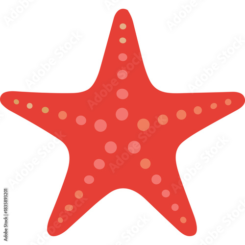 Vibrant Red Starfish With Beige Spots Isolated On A Black Background Detailed Illustration Of Marine Life Scientific Drawing Of Echinodermata