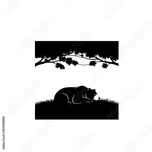 Bear Sleeping in Nature