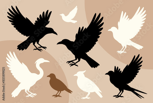 A collection of various bird silhouettes in black, white, and brown against a beige background.