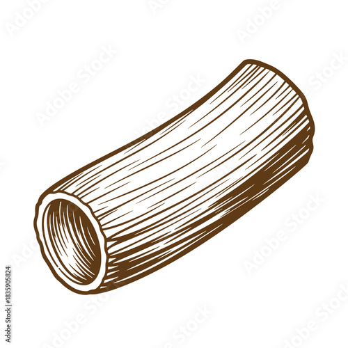 Hand drawn sketch vintage illustration of a single rigatoni pasta shape on white background
