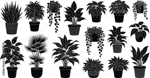 Silhouette collection of various potted houseplants in black on a white background potted plant indoor plant