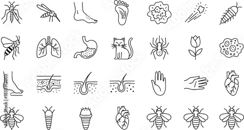 Entomology, anatomy, and allergy symptom line icons set. Insect pests, human organs, skin, hair, and common allergy source vector.