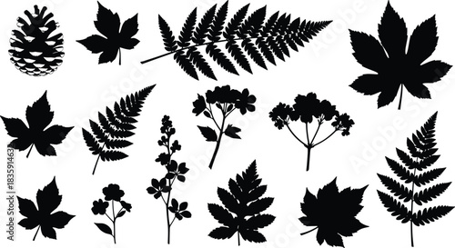 Technical Drawing of a Women's Cropped Hoodie Sweatshirt Vector Illustration, Front and Back Flat Sketch with Dropped Puff Sleeves for Fashion Apparel Design and Production,