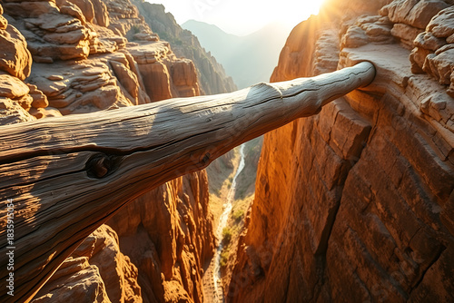 Log bridge spanning canyon chasm at sunset