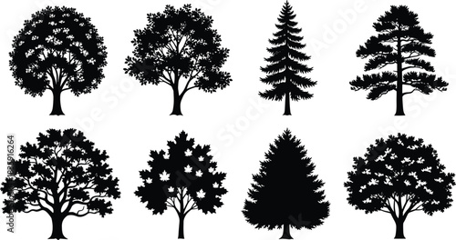 Technical Drawing of a Women's Cropped Hoodie Sweatshirt Vector Illustration, Front and Back Flat Sketch with Dropped Puff Sleeves for Fashion Apparel Design and Production,