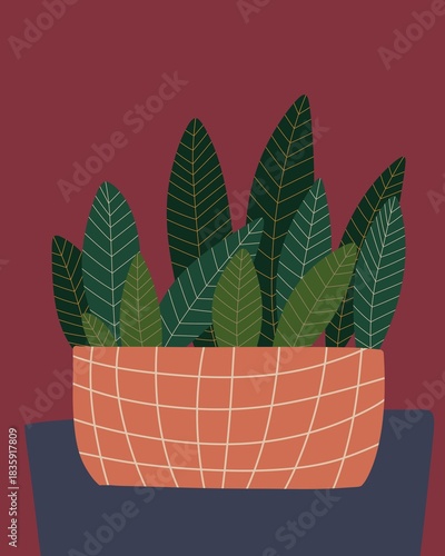 Decorative Indoor Plant in Woven Pot Illustration