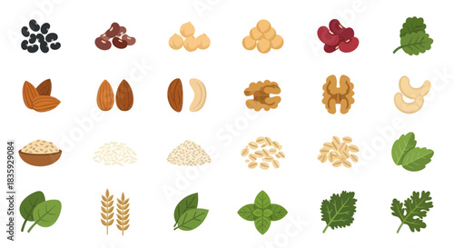 Assortment of Healthy Nuts Seeds and Leafy Greens.