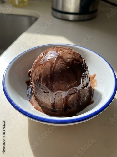 Rich and creamy chocolate ice cream dessert served in a white bowl with a blue rim, glistening under natural light