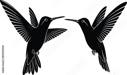Two black hummingbirds in flight facing each other with wings spread flying