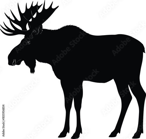 Moose Silhouette – Large North American Bull Moose Standing Animal Vector Illustration in Solid Black Isolated on Transparent Background