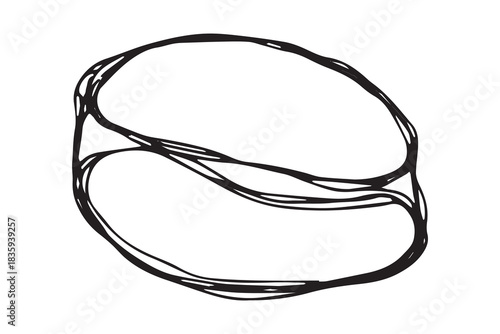 Hand drawn fresh roasted coffee bean Arabica robusta seed doodle Single element for print, web, design, decor