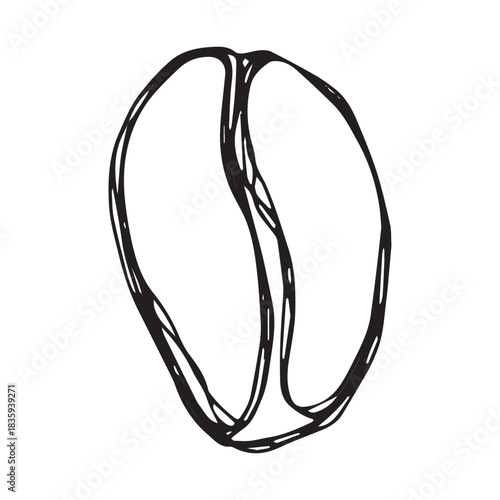 Hand drawn fresh roasted coffee bean Arabica robusta seed doodle Single element for print, web, design, decor